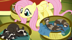 Size: 1920x1080 | Tagged: safe, screencap, fluttershy, chipmunk, ferret, pegasus, pony, raccoon, yakity-sax, basket, blanket, chipmunks, cute, female, fluttershy's cottage, mare, regular show, rigby, shyabetes, sleeping