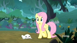 Size: 1920x1080 | Tagged: safe, screencap, angel bunny, fluttershy, pegasus, pony, yakity-sax