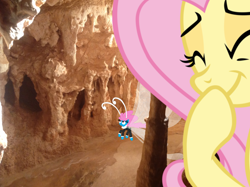 Size: 1024x765 | Tagged: safe, artist:didgereethebrony, fluttershy, seabreeze, breezie, pegasus, pony, cave, chamber, didgeree collection, giggling, jenolan caves, mlp in australia, pillar, stalactite, tropical ponies