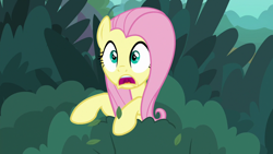 Size: 1280x720 | Tagged: safe, screencap, fluttershy, pegasus, pony, yakity-sax, bush, female, mare, open mouth, solo