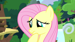 Size: 1280x720 | Tagged: safe, screencap, fluttershy, pegasus, pony, yakity-sax, female, mare, raised hoof, solo