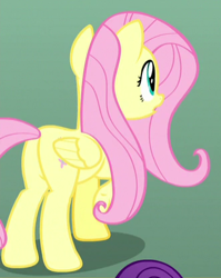 Size: 331x416 | Tagged: safe, screencap, fluttershy, pegasus, pony, yakity-sax, cropped, plot