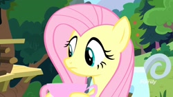 Size: 1920x1080 | Tagged: safe, screencap, fluttershy, pegasus, pony, yakity-sax, cup, discovery family logo, solo, teacup