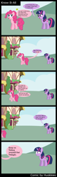 Size: 1024x3169 | Tagged: safe, artist:huskkies, derpibooru import, pinkie pie, twilight sparkle, earth pony, pony, comic