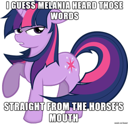 Size: 610x595 | Tagged: safe, artist:godoffury, derpibooru import, twilight sparkle, image macro, melania trump plagiarism gaffe, meme, obligatory pony, pun