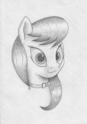 Size: 642x913 | Tagged: safe, artist:stink111, octavia melody, earth pony, pony, bust, monochrome, portrait, solo, traditional art