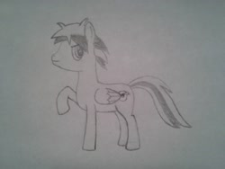 Size: 2560x1920 | Tagged: safe, artist:renardprower, oc, oc only, oc:renard prower, pegasus, pony, looking back, male, monochrome, pencil drawing, raised hoof, simple background, solo, traditional art, white background