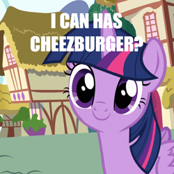 Size: 512x512 | Tagged: safe, derpibooru import, screencap, twilight sparkle, twilight sparkle (alicorn), alicorn, pony, pinkie pride, cute, faic, i can has cheezburger, lolcat, meme, solo, twiabetes