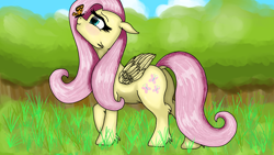 Size: 1920x1080 | Tagged: safe, artist:usattesa, fluttershy, butterfly, pegasus, pony, cute, female, forest, mare, paint tool sai, shyabetes, solo, tree