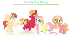 Size: 1382x710 | Tagged: safe, artist:onedayhm, big macintosh, fluttershy, oc, oc:honeycrisp hiver, oc:plumeria, earth pony, pegasus, pony, alternate design, base used, blaze (coat marking), braid, coat markings, family, female, fluttermac, freckles, male, mare, no pupils, offspring, parent:big macintosh, parent:fluttershy, parents:fluttermac, scar, shipping, simple background, socks (coat marking), stallion, straight, unshorn fetlocks, white background