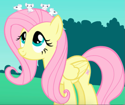 Size: 637x532 | Tagged: safe, screencap, fluttershy, mouse, pegasus, pony, season 1, the best night ever, animal, cute, female, looking up, mare, shyabetes, sitting on head, smiling