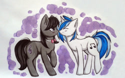 Size: 1024x637 | Tagged: safe, artist:chimeeri, dj pon-3, octavia melody, vinyl scratch, earth pony, pony, blushing, female, lesbian, nuzzling, scratchtavia, shipping, simple background