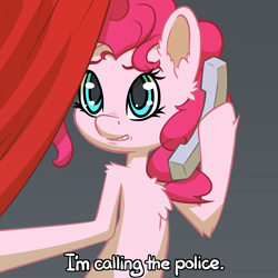 Size: 4000x4000 | Tagged: safe, artist:senaelik, pinkie pie, earth pony, pony, 4chan, bipedal, chest fluff, description is relevant, dialogue, drawthread, ear fluff, female, fluffy, hoof hold, jojo's bizarre adventure, mare, phone, phone call, reaction image, request, solo, worried