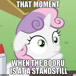 Size: 490x490 | Tagged: safe, sweetie belle, pony, unicorn, derpibooru, exploitable meme, female, filly, horn, image macro, meme, meta, solo, sudden clarity sweetie belle, text, two toned mane, white coat, wide eyes