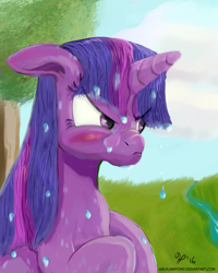 Size: 1200x1500 | Tagged: safe, artist:halflingpony, derpibooru import, twilight sparkle, twilight sparkle (alicorn), alicorn, pony, angry, blushing, floppy ears, frown, glare, pouting, solo, water, wet, wet mane