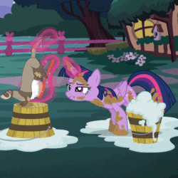 Size: 530x531 | Tagged: safe, derpibooru import, screencap, twilight sparkle, twilight sparkle (alicorn), alicorn, ferret, pony, castle sweet castle, animated, cleaning, magic, mud, out of context, water
