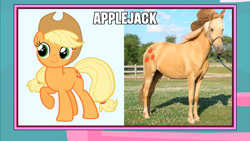 Size: 1366x768 | Tagged: safe, applejack, earth pony, pony, image macro, live action applejack, meme, wat