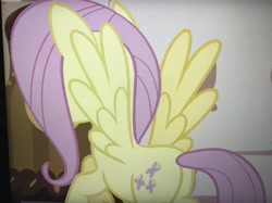 Size: 3789x2840 | Tagged: safe, screencap, fluttershy, pegasus, pony, discordant harmony, cropped, female, mare, plot, rear view, solo, spread wings, wings