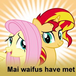 Size: 250x250 | Tagged: safe, derpibooru import, fluttershy, sunset shimmer, pegasus, pony, derpibooru, mai waifus have met, meta, spoilered image joke, waifu