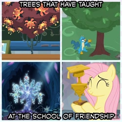 Size: 1080x1080 | Tagged: safe, screencap, fluttershy, gallus, pegasus, pony, a matter of principals, non-compete clause, what lies beneath, dragonsneeze, flower, fluttertree, meme, school of friendship, text, tree, tree of harmony, trophy