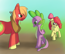 Size: 1291x1084 | Tagged: safe, artist:sharpy, apple bloom, big macintosh, spike, dragon, earth pony, pony, female, frown, glare, gradient background, gritted teeth, interspecies, looking down, male, mare, mommabloom, nervous, parent:spike, pregnant, raised hoof, shipping, spikebloom, stallion, straight, sweat, this will end in marriage