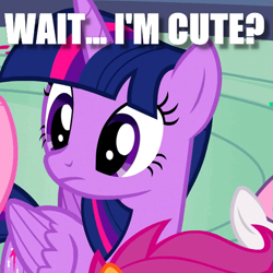 Size: 505x505 | Tagged: safe, derpibooru import, edit, edited screencap, screencap, twilight sparkle, twilight sparkle (alicorn), alicorn, pony, caption, cute, image macro, meme, question, realization