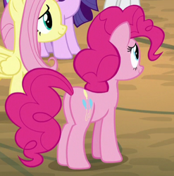 Size: 394x399 | Tagged: safe, screencap, fluttershy, pinkie pie, earth pony, pegasus, pony, the mean 6, cropped, plot