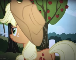 Size: 3860x3024 | Tagged: safe, screencap, applejack, earth pony, pony, buckball season, female, freckles, mare, plot, solo