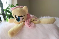 Size: 5472x3648 | Tagged: safe, artist:kazzysart, fluttershy, pegasus, pony, beanie (plushie), female, folded wings, irl, mare, photo, plushie, prone, solo, wings