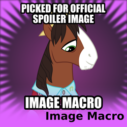 Size: 1024x1024 | Tagged: safe, artist:cheezedoodle96, trouble shoes, pony, bad luck brian, clothes, derpibooru, exploitable meme, image macro, meme, meta, official spoiler image, shirt, solo, spoilered image joke, sweater vest, vector