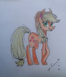 Size: 1395x1616 | Tagged: safe, artist:heart22-art, applejack, earth pony, pony, solo, traditional art