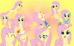 Size: 5000x3090 | Tagged: safe, artist:pilot231, fluttershy, bird, chicken, pegasus, pony, blushing, clothes, collection, cute, dress, female, flying, gala dress, gradient background, happy, mare, ponytones outfit, shyabetes, vector