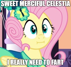 Size: 529x500 | Tagged: safe, edit, edited screencap, screencap, fluttershy, pegasus, pony, make new friends but keep discord, cropped, image macro, implied farting, meme, need to fart, solo, we bought two cakes