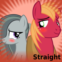 Size: 1024x1024 | Tagged: safe, artist:dtkraus, big macintosh, marble pie, earth pony, pony, bedroom eyes, blushing, couple, derpibooru, hilarious in hindsight, male, marblemac, meta, official spoiler image, shipping, smiling, spoilered image joke, stallion, straight