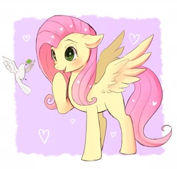 Size: 2381x2290 | Tagged: safe, artist:hosikawa, fluttershy, bird, pegasus, pony, cute, female, floppy ears, looking at something, missing cutie mark, open mouth, raised hoof, shyabetes, smiling, solo, spread wings, wings