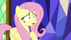 Size: 1920x1080 | Tagged: safe, screencap, fluttershy, pegasus, pony, sounds of silence, shrunken pupils, solo