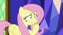 Size: 1280x720 | Tagged: safe, screencap, fluttershy, pegasus, pony, sounds of silence, female, mare, raised hoof, shrunken pupils, solo