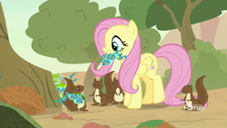 Size: 1920x1080 | Tagged: safe, screencap, fluttershy, pegasus, pony, squirrel, sounds of silence, discovery family logo, female, flower, foal's breath, mare, mouth hold