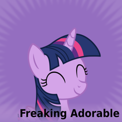 Size: 1024x1024 | Tagged: safe, artist:atmunn, twilight sparkle, twilight sparkle (alicorn), alicorn, pony, derpibooru, eyes closed, female, mare, meta, smiling, solo, spoilered image joke