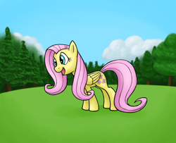 Size: 6400x5200 | Tagged: safe, artist:bill-the-pony, fluttershy, pegasus, pony, absurd resolution, solo
