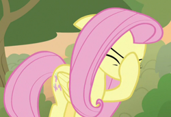 Size: 510x348 | Tagged: safe, screencap, fluttershy, pegasus, pony, sounds of silence, cropped, eyes closed, facehoof, female, mare, solo