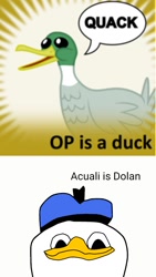 Size: 720x1280 | Tagged: safe, actually op is dolan, barely pony related, derpibooru, dolan, meme, meta, op, op is a cuck, spoilered image joke