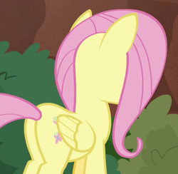 Size: 578x563 | Tagged: safe, screencap, fluttershy, pegasus, pony, sounds of silence, cropped, female, mare, plot, solo