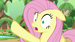 Size: 1280x720 | Tagged: safe, screencap, fluttershy, pegasus, pony, sounds of silence, female, mare, raised hoof, solo