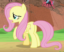 Size: 433x351 | Tagged: safe, screencap, fluttershy, pegasus, pony, sounds of silence, cropped, female, mare, plot, solo