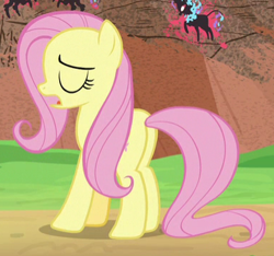 Size: 383x358 | Tagged: safe, screencap, fluttershy, pegasus, pony, sounds of silence, cropped, eyes closed, female, mare, open mouth, plot, solo