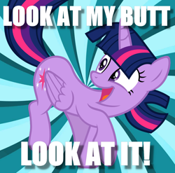 Size: 1052x1040 | Tagged: safe, artist:slb94, derpibooru import, twilight sparkle, twilight sparkle (alicorn), alicorn, pony, butt, excited, image macro, looking back, meme, plot, solo, sunburst background