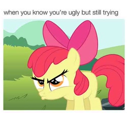 Size: 650x581 | Tagged: safe, apple bloom, cute, meme, meta, needs more jpeg, parody, solo, twitter