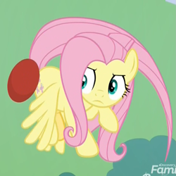 Size: 943x942 | Tagged: safe, screencap, fluttershy, pegasus, pony, father knows beast, buckball, butt bump, butt smash, concentrating, cropped, female, flying, mare, solo, spinning