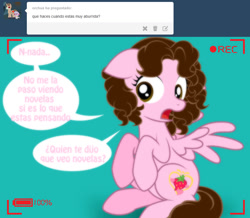 Size: 1236x1076 | Tagged: safe, artist:shinta-girl, oc, oc only, oc:shinta pony, ask, solo, spanish, translated in the description, tumblr